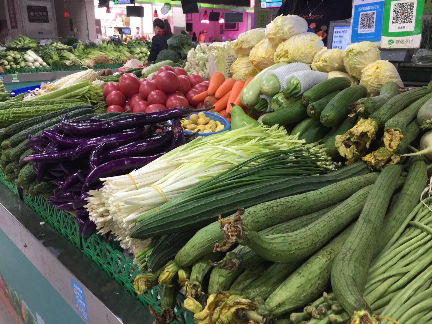 丝瓜最新在线，绿色健康食品的新潮流探索