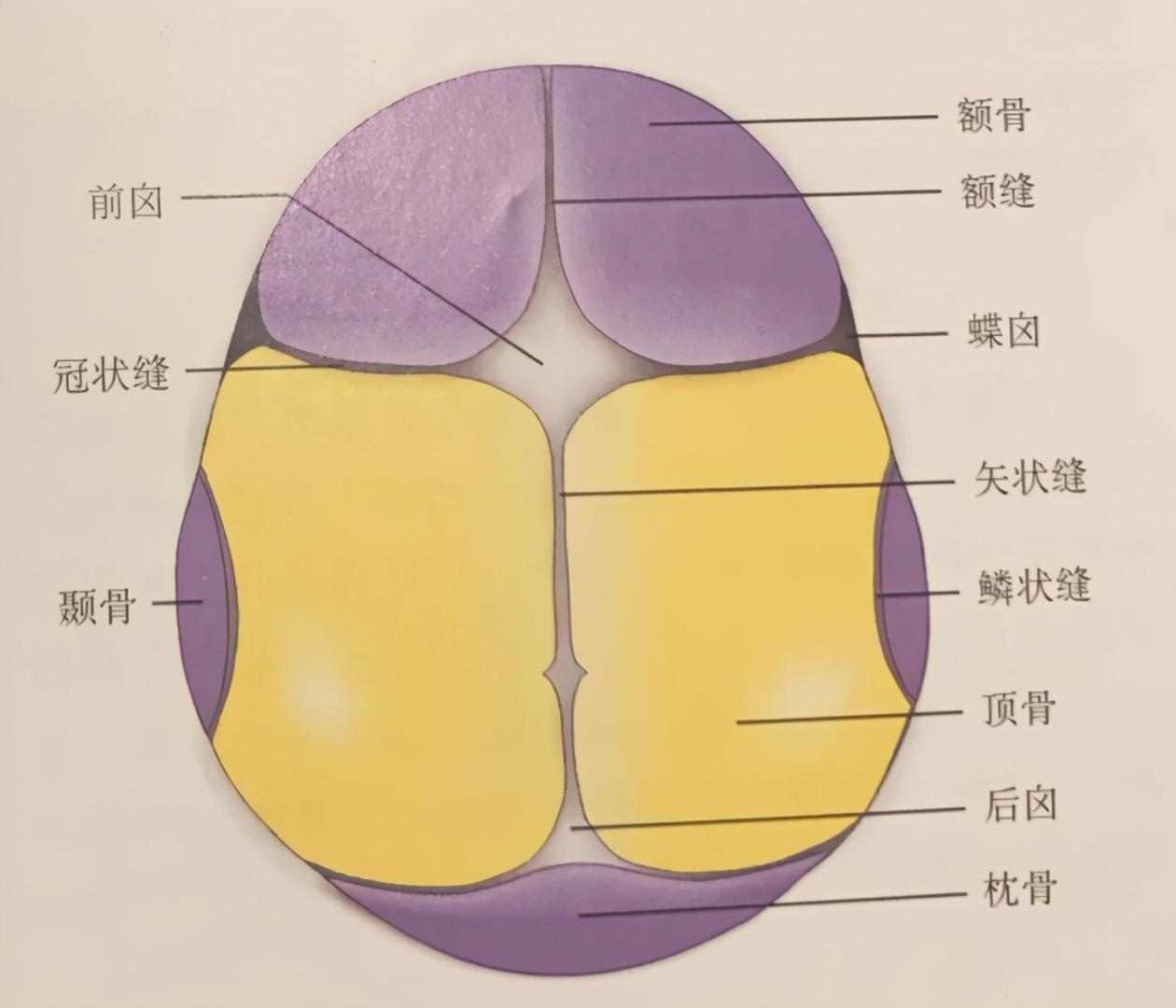 探索最新图片魅力，早间图片世界探索