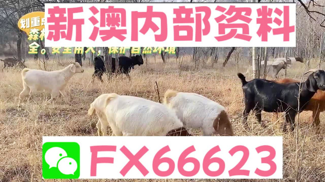 新澳天天开奖资料大全最新,素材动态方案解答_人阶RBJ309.74