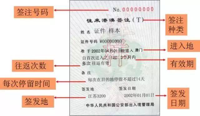 澳门六开奖结果2024开奖记录今晚直播,实地方案验证策略_LT25.166