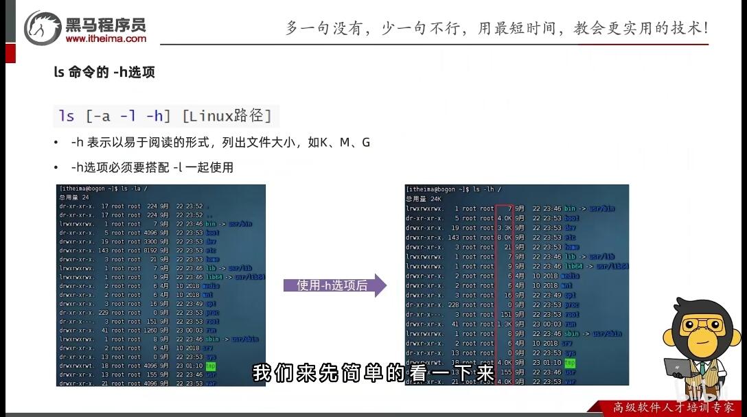 一肖一码精准一,效率解答解释落实_Linux56.459