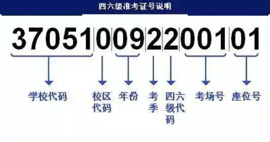 三肖必中三期必出凤凰网开,迅捷解答计划落实_超值版56.986