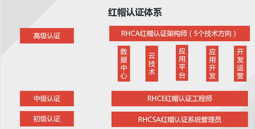 王中王493333中特一特色,创新落实方案剖析_挑战款91.733