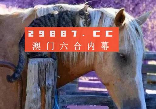 今晚澳门特马开什么今晚四不像,最新解答解析说明_T99.476