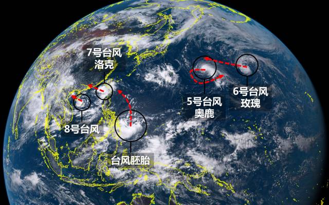 台风最新动态及影响分析报告